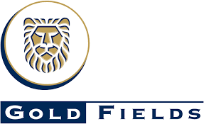 gold fields